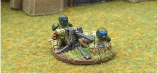 Podeles Lions Armoured Infantry use heavy support weapons