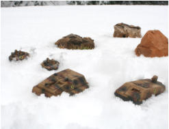 Broglie's Legion vehicles moving through soft snow
