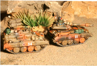 A Puma and a Chariot APC from an Alpine detachment