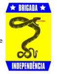 Symbol of the Brigada Independncia (Cobras Fumantes)