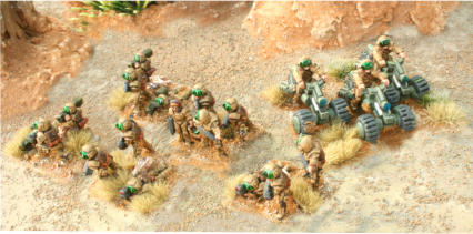 Heavy Infantry with various weapons including flechette rifles, buzzbombs and support weapons plus ATV trikes